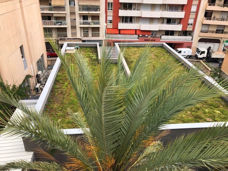 CH La Palmosa